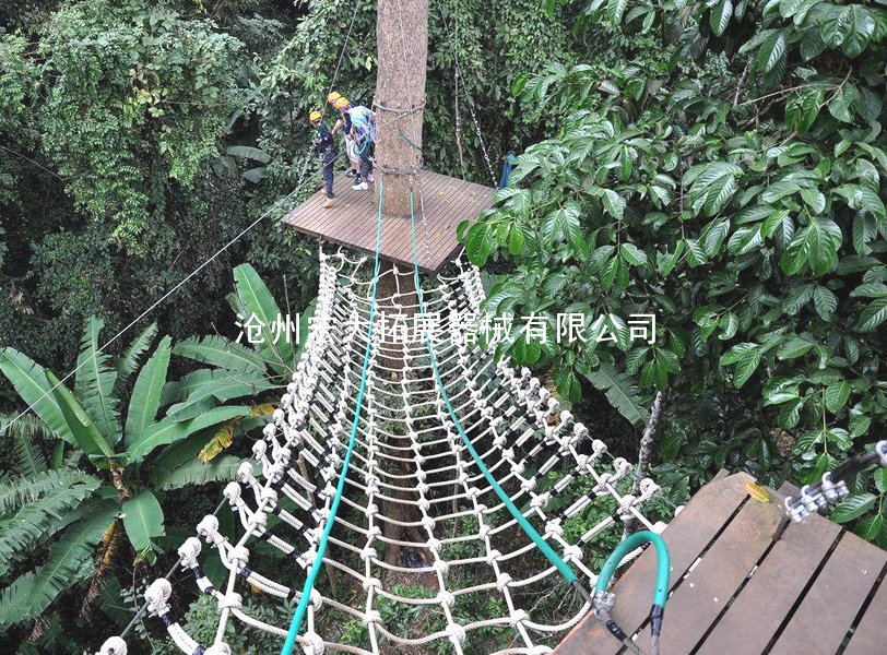 丛林绳网桥-丛林探险-丛林拓展器材-丛林飞跃